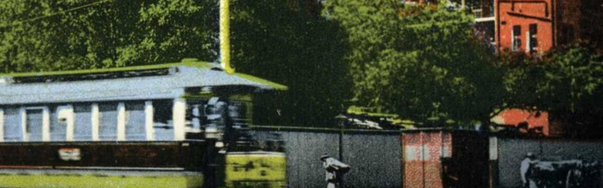 Queen city of the south : gay and lesbian Melbourne / edited by Graham Willett and John Arnold (Melbourne, Vic : State Library of Victoria Foundation, 2011)