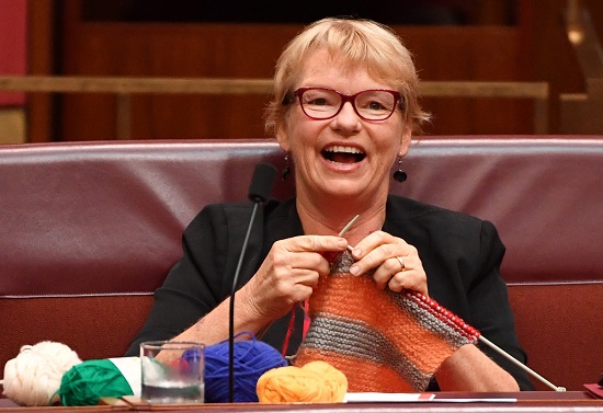 Janet Rice knitting in Parliamanet, 20 March 2017, photograph by Mike Bowers, courtesy The Guardian_featured